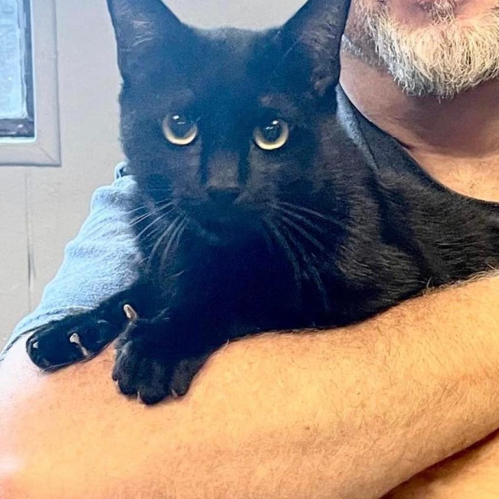 Gomez