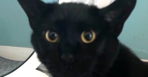 George aka Smokey George