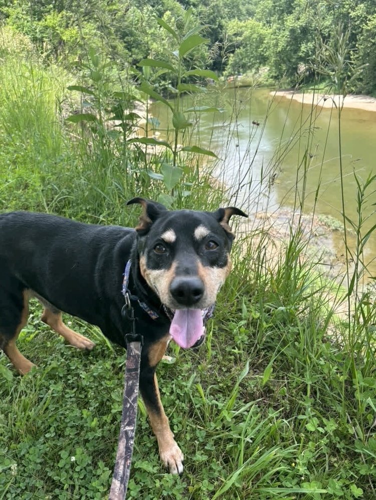 Waylon