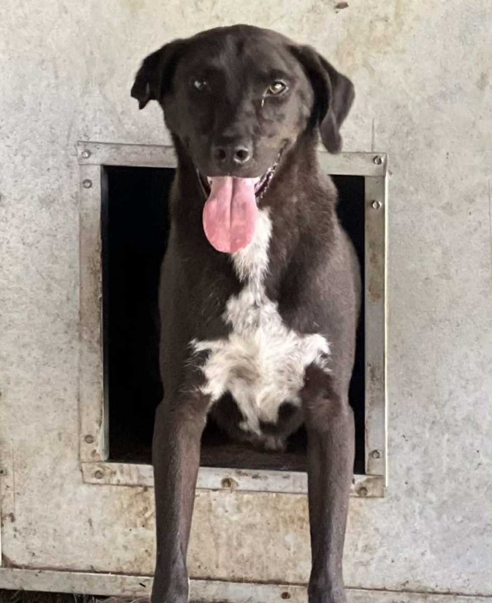 Arlo