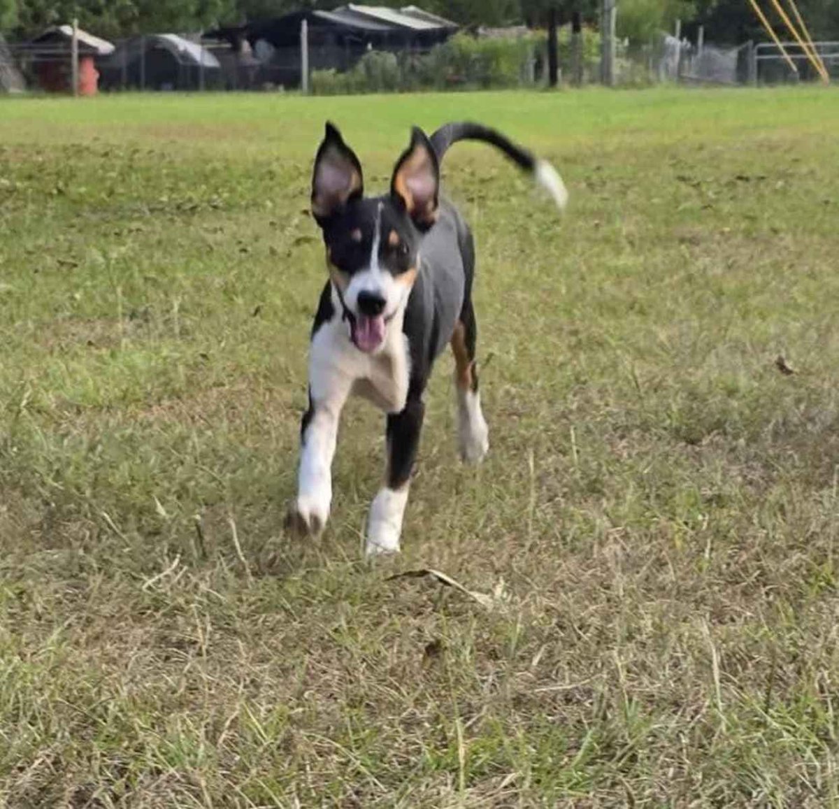Baxley