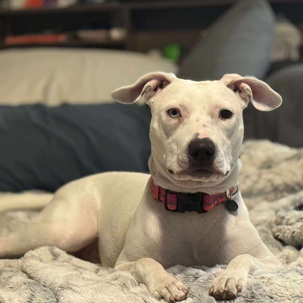 Julie