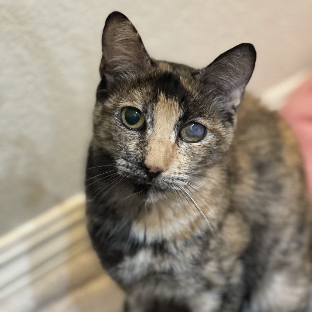Miss Miggles