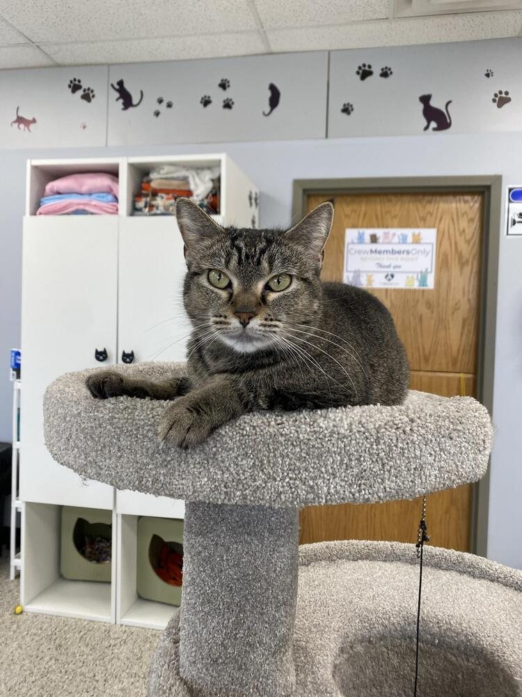 Nala