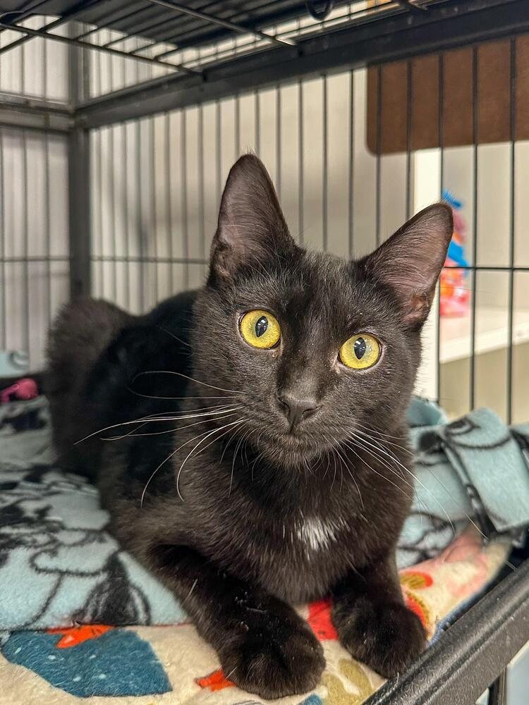 Ellie Jane