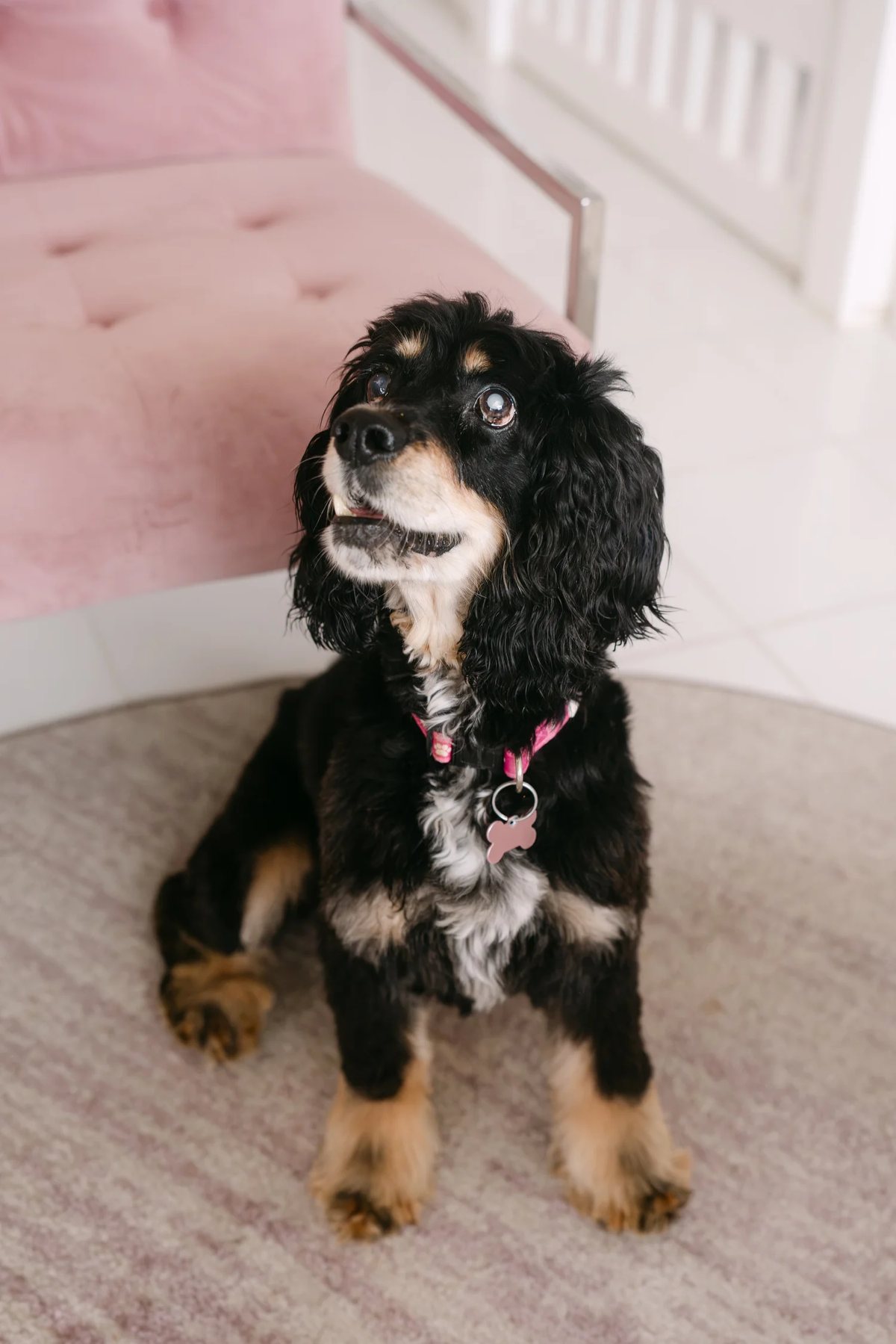 Delilah