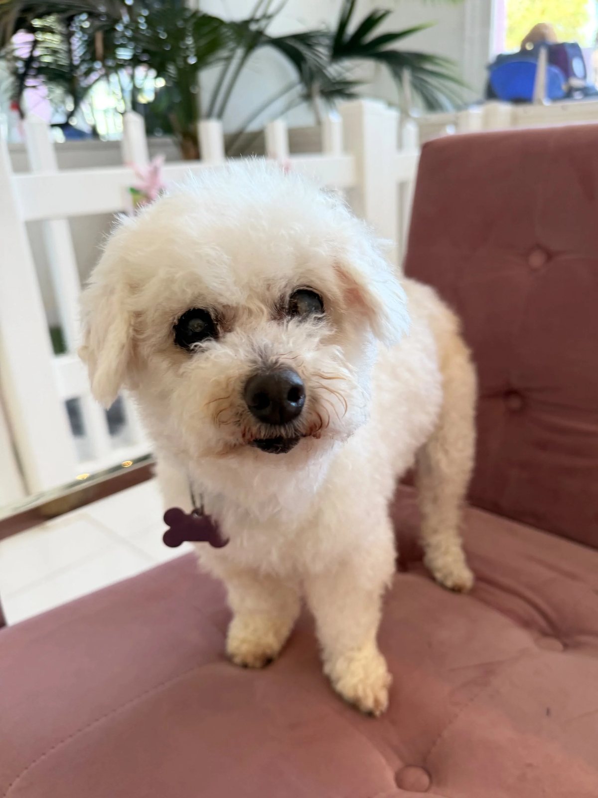 Winnie