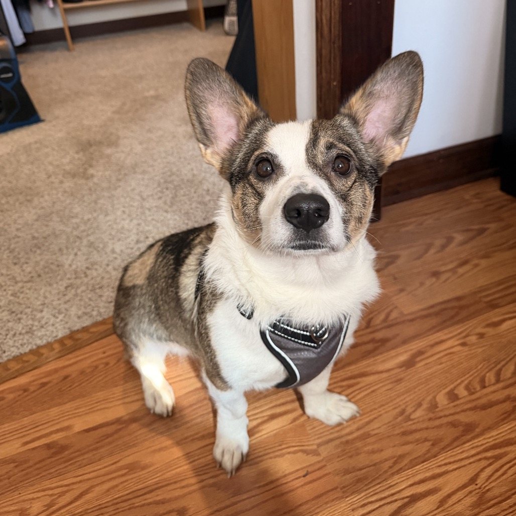 Murphy