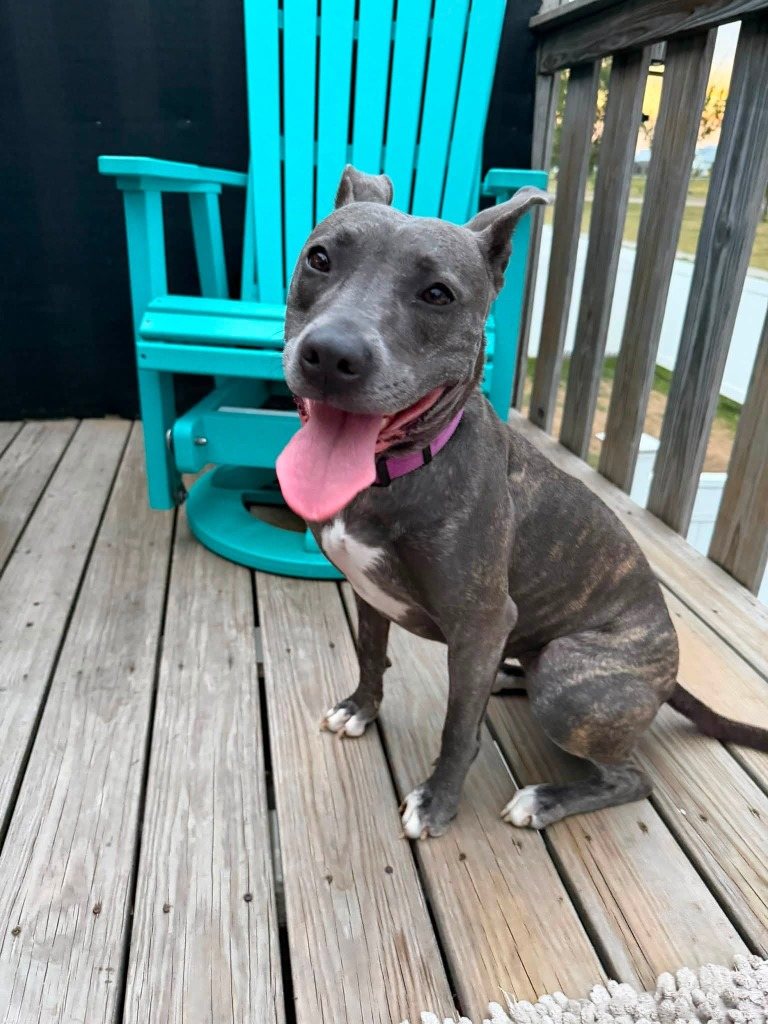 Jenna