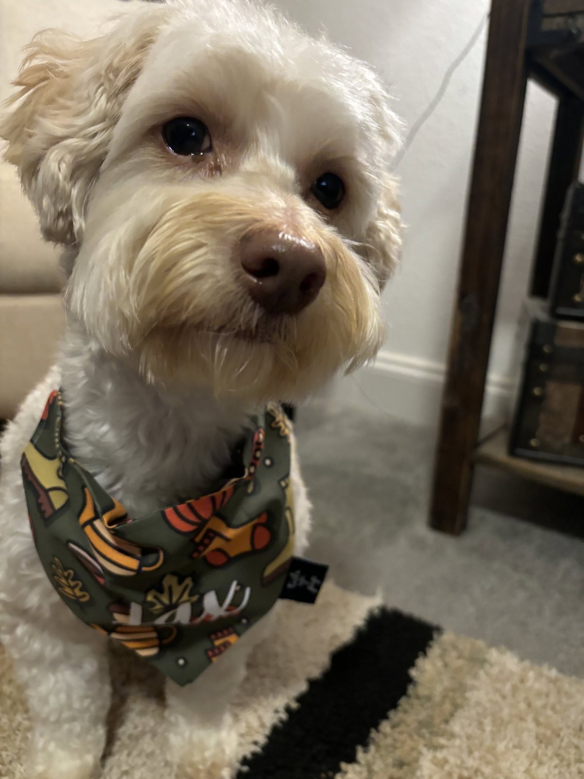 Jax