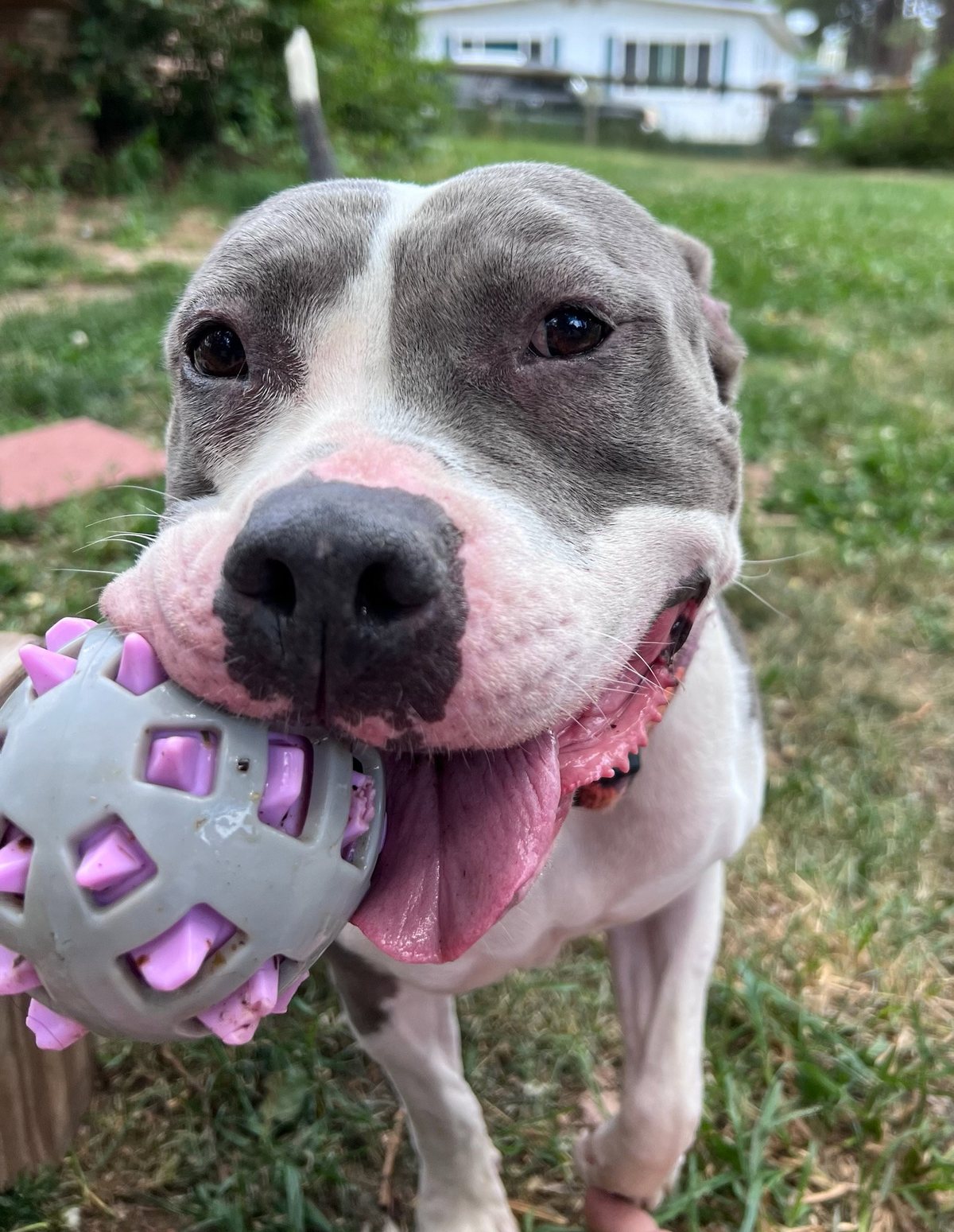 Luna