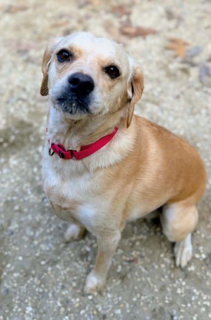 Ridley Jane