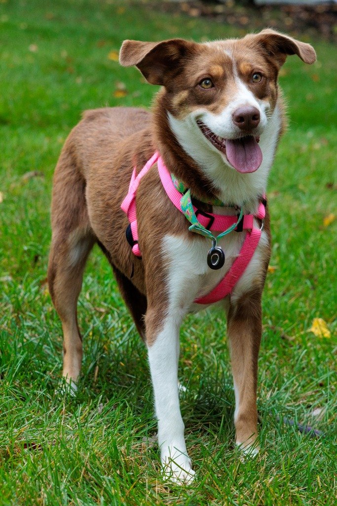 Ella